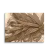  BURLESQUE_HSF_8_SEPIA 
